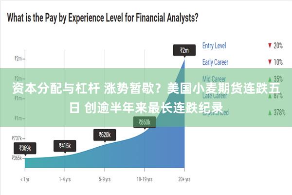 资本分配与杠杆 涨势暂歇？美国小麦期货连跌五日 创逾半年来最长连跌纪录