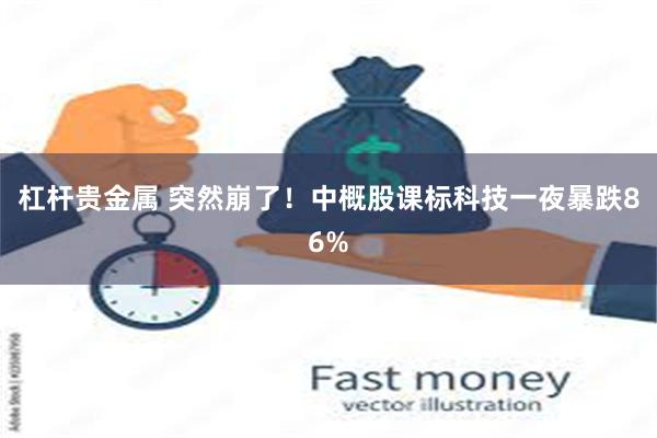 杠杆贵金属 突然崩了！中概股课标科技一夜暴跌86%