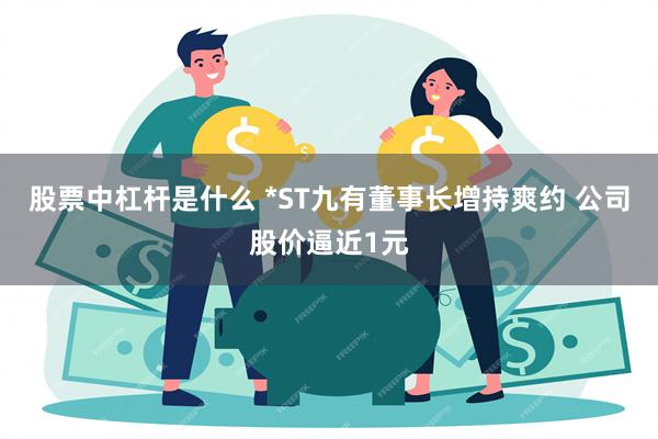 股票中杠杆是什么 *ST九有董事长增持爽约 公司股价逼近1元