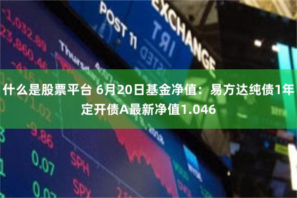 什么是股票平台 6月20日基金净值：易方达纯债1年定开债A最新净值1.046