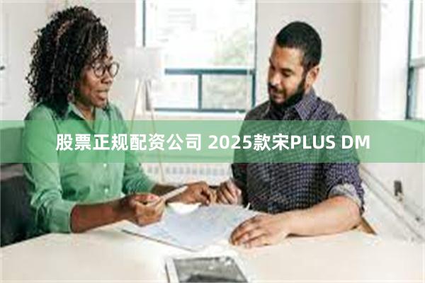 股票正规配资公司 2025款宋PLUS DM