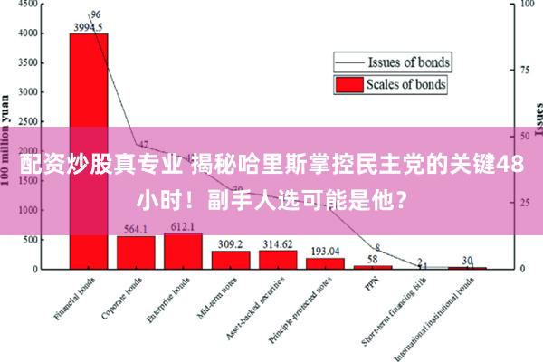 配资炒股真专业 揭秘哈里斯掌控民主党的关键48小时！副手人选可能是他？